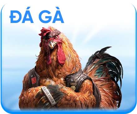 Đá gà 88bet